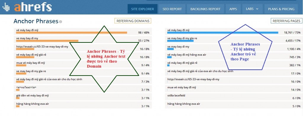 Các chỉ số trong Dashboard của Ahrefs nghĩa là gì