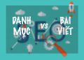 Seo danh mục hay seo bài viết