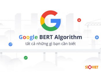 Google BERT Algorithm những điều cần biết