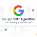 Google BERT Algorithm những điều cần biết