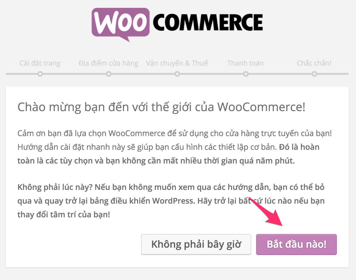 bắt đầu thiết lập woocommerce