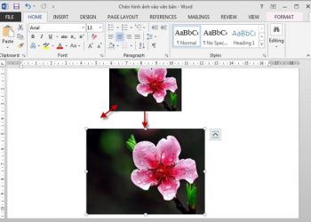 Tổng hợp cách chèn ảnh vào Word NHANH, HIỆU QUẢ NHẤT