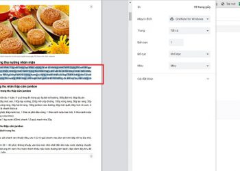 5 Cách copy trang web không cho copy HIỆU QUẢ ở Chrome