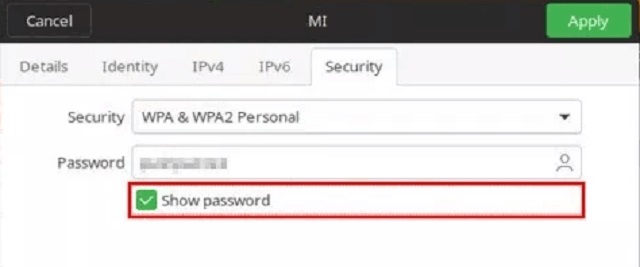 Chọn tab Securty, tích vào ô show password. Sau đó, sẽ thấy mật khẩu xuất hiện