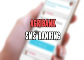 6 Cách kiểm tra tài khoản Agribank chính xác, dễ dàng