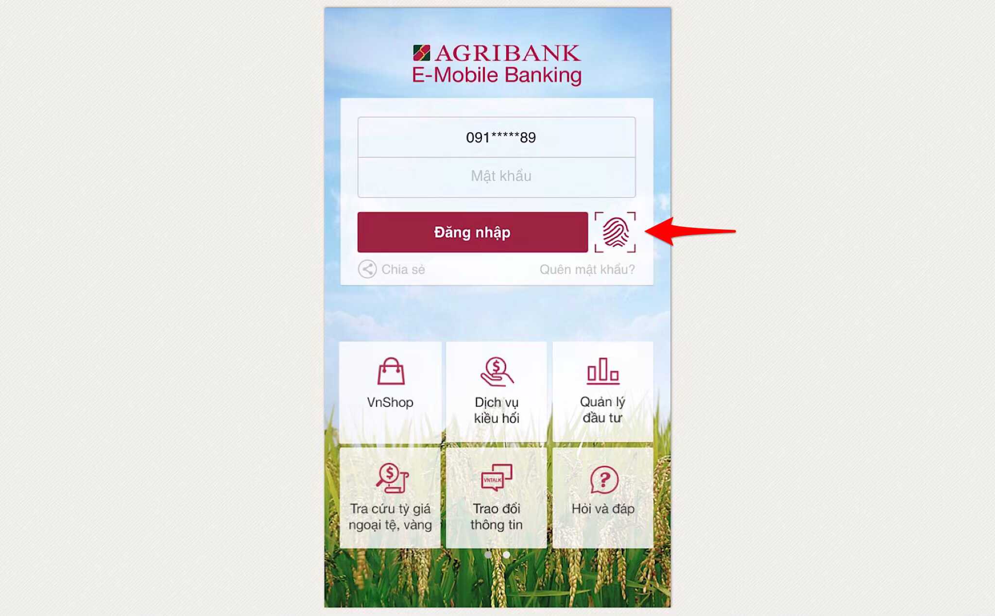 Kiểm tra tài khoản Agribank qua ứng dụng điện thoại