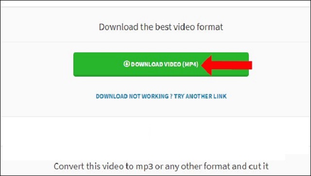 Sao chép link video cần tải vào ô trống tìm kiếm. Sau đó, ấn tiếp nút Download Video. 