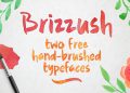 Brizzush Free Font