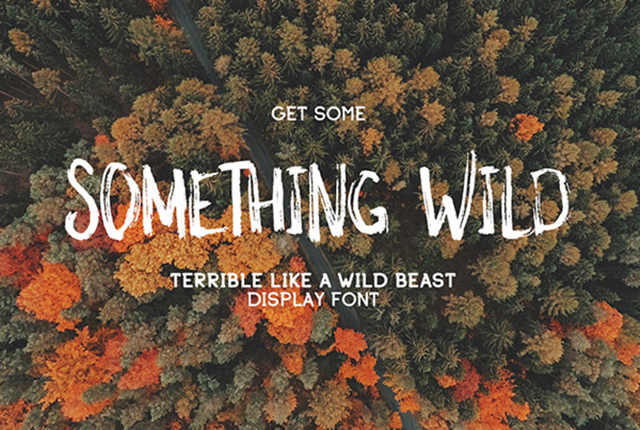 Something Wild Free Font