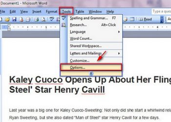 tắt kiểm tra chính tả trong word 2003 1