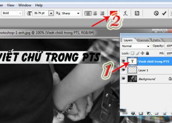 cách đổi màu chữ trong pts 1