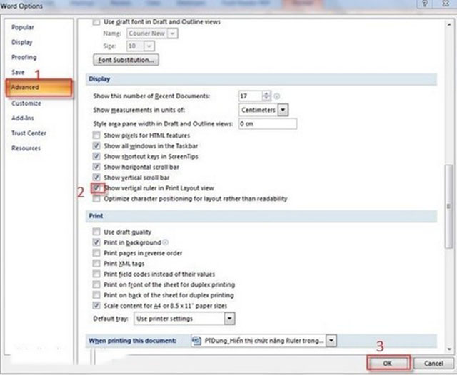 cách hiển thị Ruler trong Word 2007 4