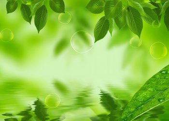 hình nền powerpoint đơn giản 12