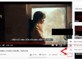 Tải phụ đề video YouTube ngay trên YouTube 2