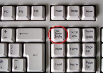 cách chụp màn hình máy tính dell 1