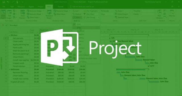 microsoft project 2013