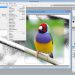tải photoshop cs2 full crack 6