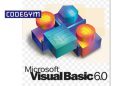 Visual Basic 6.0