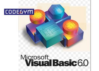 Visual Basic 6.0
