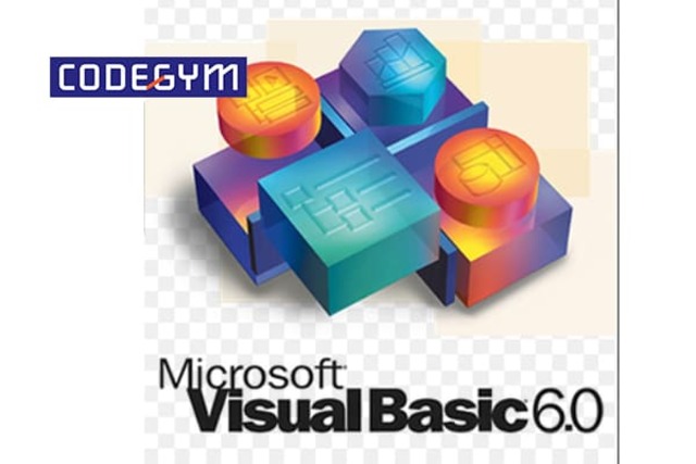 Visual Basic 6.0