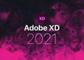Tải Adobe XD 2021