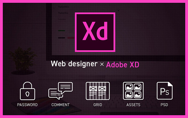 Thông tin về Adobe XD 2021 