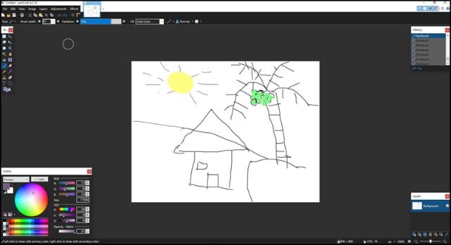 Paint.net