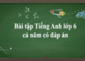 bài tập tiếng anh lớp 6