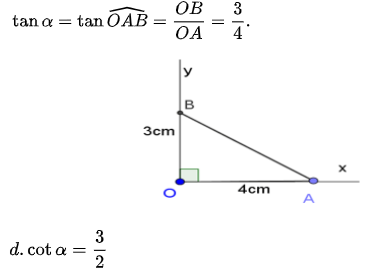 toán hình 9-20