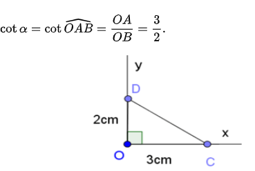 toán hình 9-23