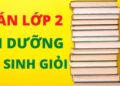 toán nâng cao lớp 2-1