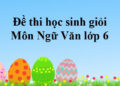 đề thi học sinh giỏi văn 6