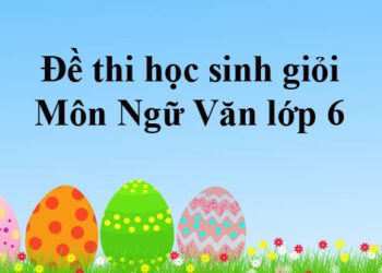 đề thi học sinh giỏi văn 6