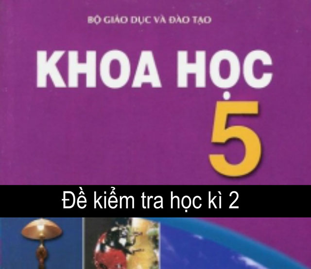 Đề thi Khoa học lớp 5 học kì 2