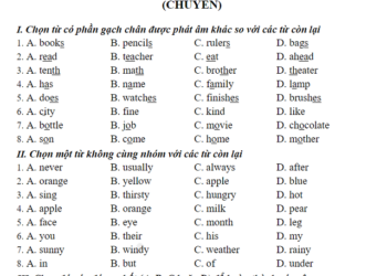 đề thi vào lớp 6 môn tiếng anh