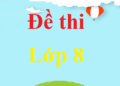 đề thi lớp 8