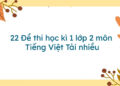 de thi tieng viet lop 2 hoc ki 1-1