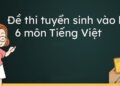 Đề thi vào lớp 6 môn Tiếng Việt