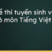 Đề thi vào lớp 6 môn Tiếng Việt