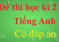 Link download đề thi tiếng Anh lớp 7 học kì 2