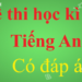 Link download đề thi tiếng Anh lớp 7 học kì 2