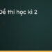 Tổng hợp bộ đề thi học kì 2 lớp 6
