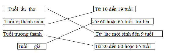 đề cương khoa học lớp 5-1