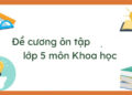 đề cương khoa học lớp 5-11