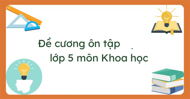 đề cương khoa học lớp 5-11