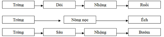 đề cương khoa học lớp 5-3