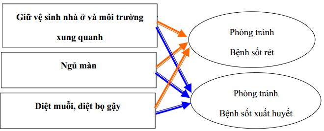 đề cương khoa học lớp 5-6