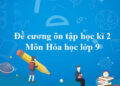 Đề cương ôn tập học kỳ 2 môn Hóa lớp 9
