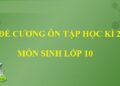 đề cương ôn tập sinh 10 học kì 2