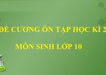 đề cương ôn tập sinh 10 học kì 2